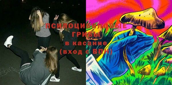 гидропоника Алексеевка