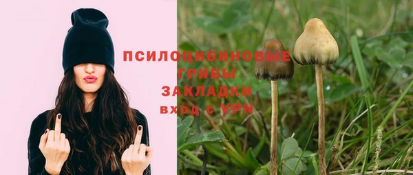 ешки Алзамай