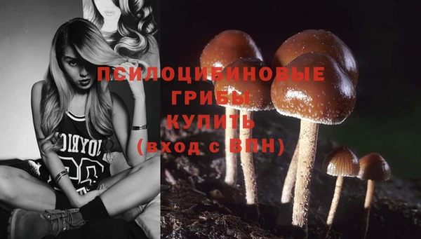 ешки Алзамай