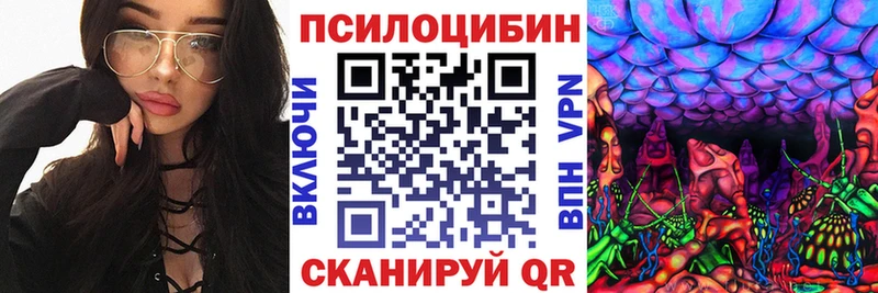 Псилоцибиновые грибы Psilocybine cubensis  Феодосия 